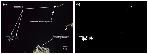 https://tc.copernicus.org/articles/18/4177/2024/tc-18-4177-2024-f05